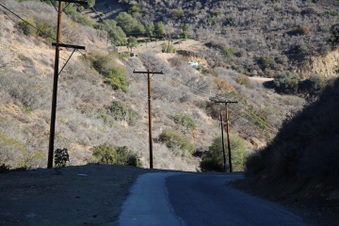 Enlarge photo 154