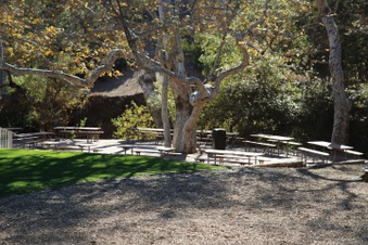 Enlarge photo 161