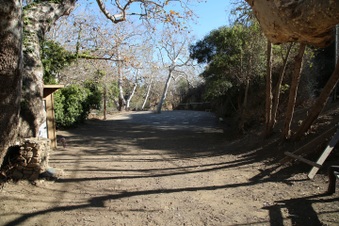 Enlarge photo 163