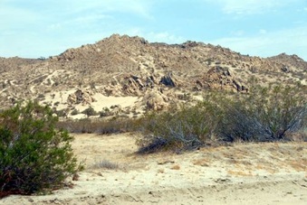 Enlarge photo 3