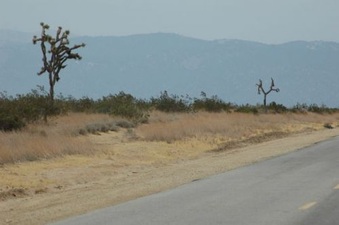 Enlarge photo 28