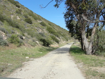 Moore House, Malibu Hills