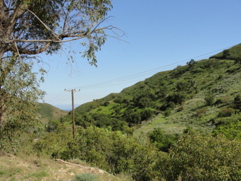 Enlarge photo 2