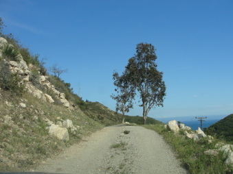 Enlarge photo 4