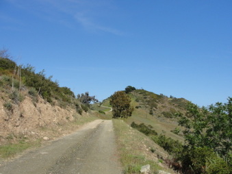 Enlarge photo 5