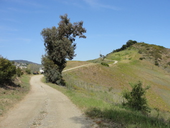 Enlarge photo 6