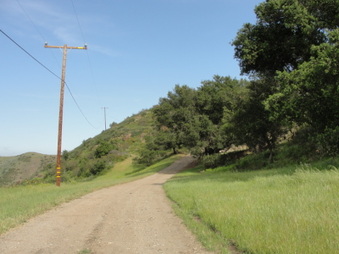 Enlarge photo 10