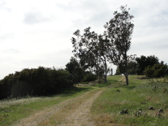 Enlarge photo 11