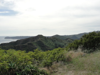 Enlarge photo 19