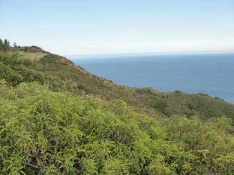 Enlarge photo 21