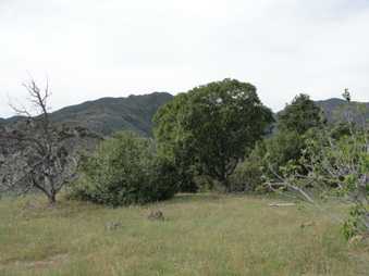 Enlarge photo 23