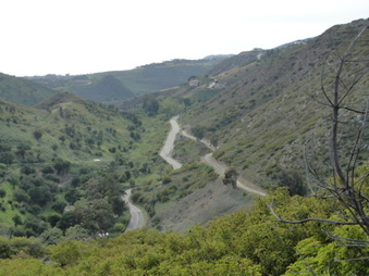 Enlarge photo 25
