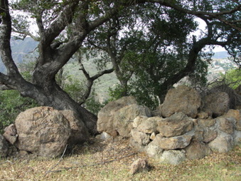 Enlarge photo 27