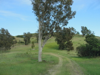 Enlarge photo 29