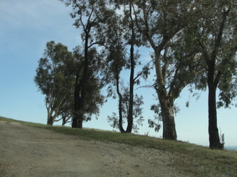 Enlarge photo 30
