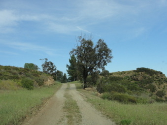 Enlarge photo 31