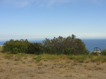 Enlarge photo 33