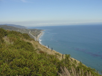 Enlarge photo 37