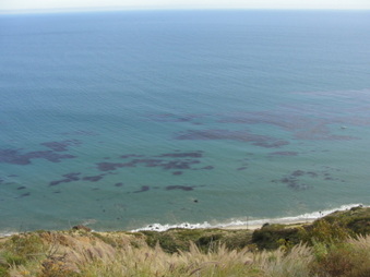 Enlarge photo 38