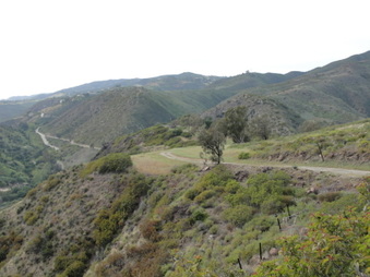 Enlarge photo 40