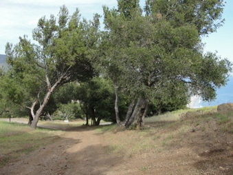 Enlarge photo 44
