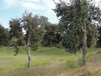 Enlarge photo 45