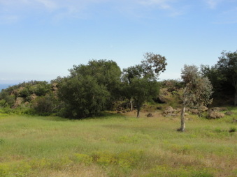 Enlarge photo 46