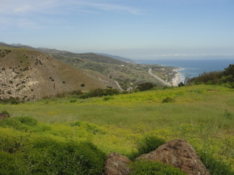 Enlarge photo 47