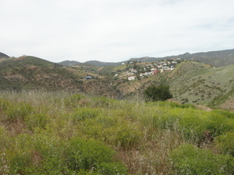 Enlarge photo 48