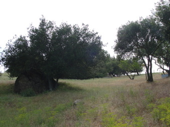 Enlarge photo 49
