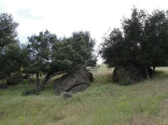 Enlarge photo 50