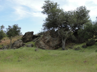 Enlarge photo 51