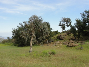 Enlarge photo 52