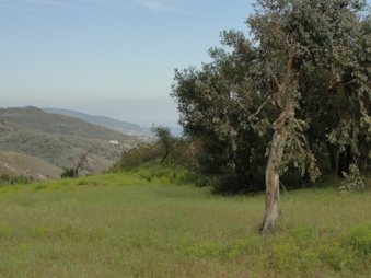 Enlarge photo 53