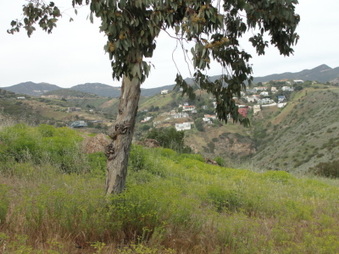 Enlarge photo 54