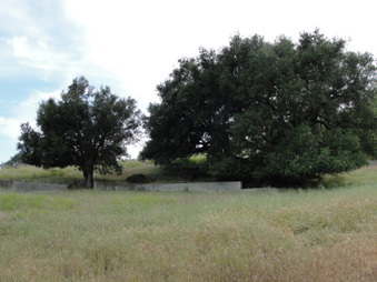 Enlarge photo 56
