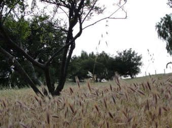 Enlarge photo 57