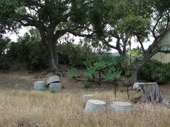 Enlarge photo 58