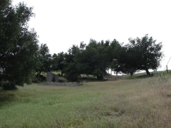 Enlarge photo 59
