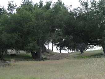 Enlarge photo 60