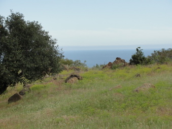 Enlarge photo 61