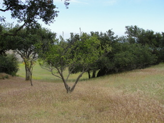 Enlarge photo 62