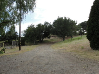 Enlarge photo 64