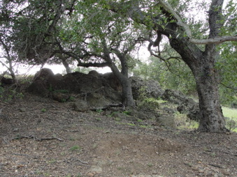 Enlarge photo 66