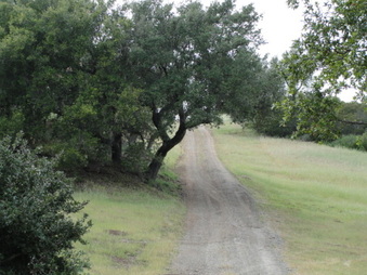 Enlarge photo 68
