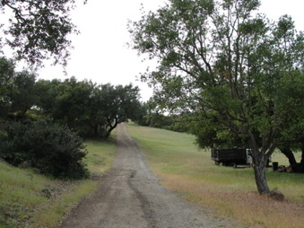 Enlarge photo 69