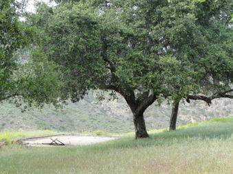 Enlarge photo 70