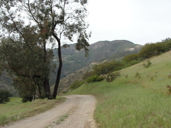 Enlarge photo 71