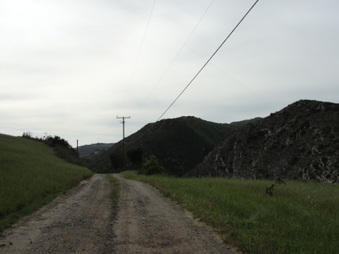Enlarge photo 72