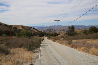 Enlarge photo 20